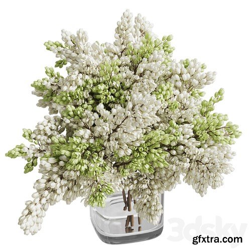 3dsky Pro - Bouquet 022