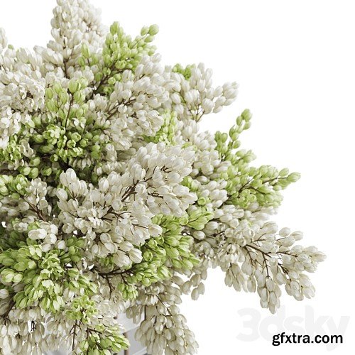 3dsky Pro - Bouquet 022