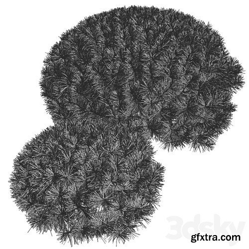 3dsky Pro - Mountain Pine Mugo