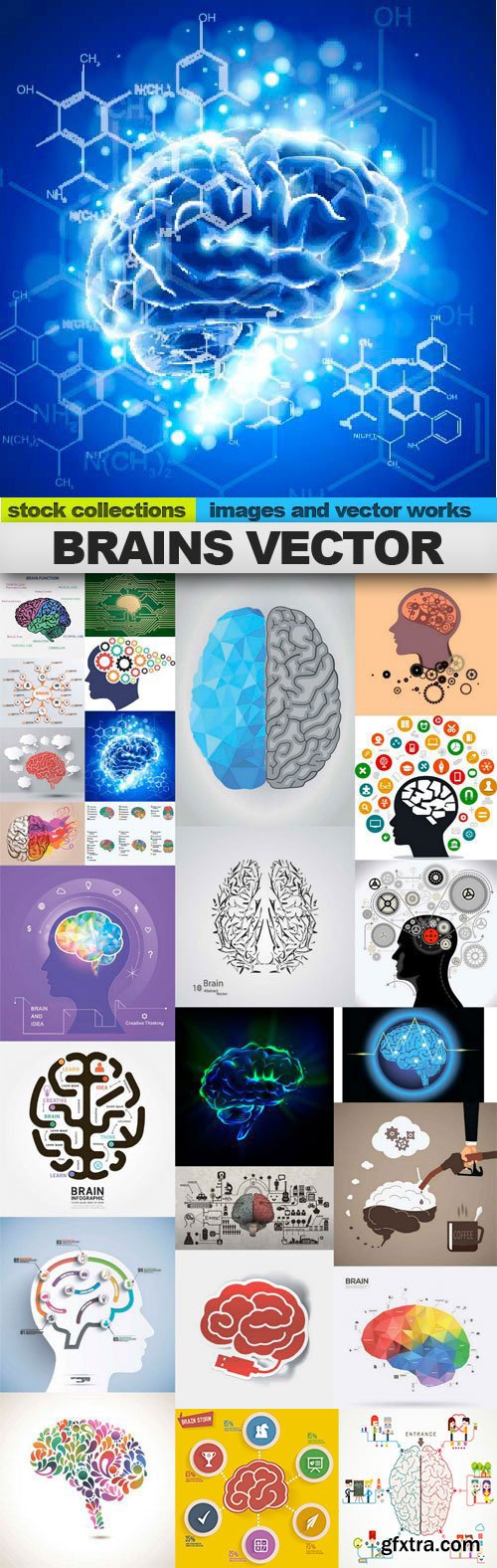 Shutterstock - Brains Vector 25xEPS GFXTRA.COM!