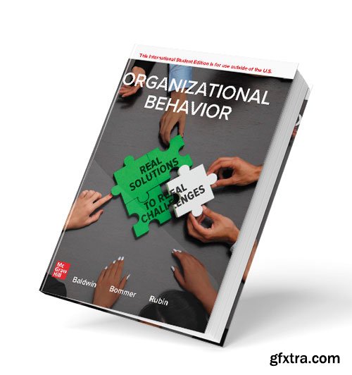 Organizational Behavior: Real Solutions to Real Challenges, 3rd Edition