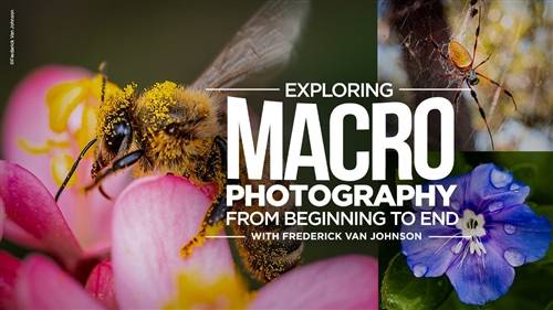 'KelbyOne - Exploring Macro Photography from Beginning to End' 'KelbyOne - Exploring Macro Photography from Beginning to End'