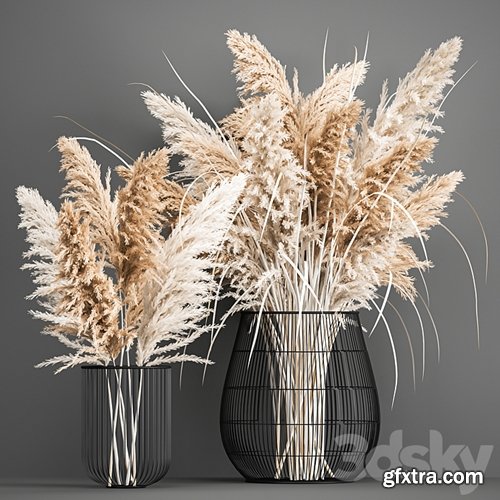 3dsky Pro - A lush bouquet of dried flowers in a basket with pampas, Pampas grass, Cortaderia, a branch. 192.