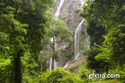 Tropical Forest A 25xJPG