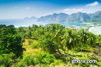 Tropical Forest A 25xJPG