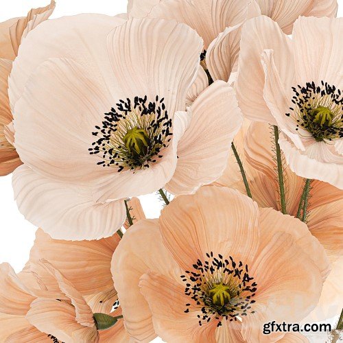 3dsky Pro - Flower bouquet. Set 463.