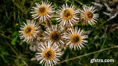 CreativeLive - Sharing, Publishing, and Archiving in Lightroom Desktop