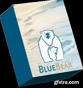 BlueBear Forensic Carver 12.12.65.0