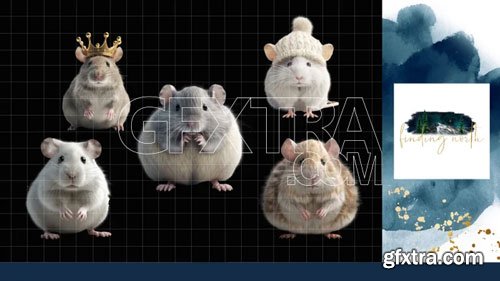 Finding North Education - Mouse Digital Overlays