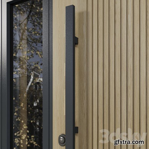 3dsky Pro - Entrance door with transoms to cottage 03
