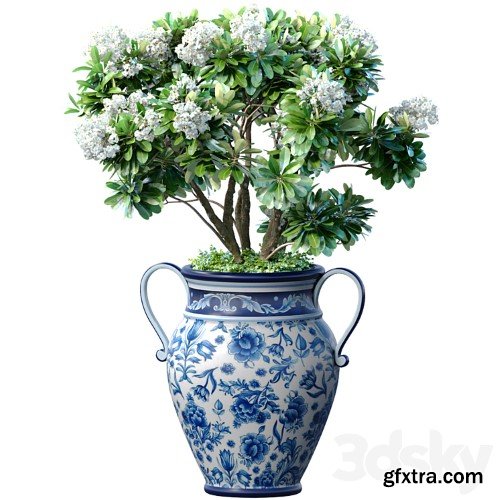 3dsky Pro - Decorative blooming garden tree with white Plumeria flowers in a vase