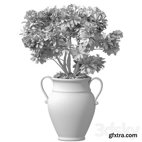 3dsky Pro - Decorative blooming garden tree with white Plumeria flowers in a vase