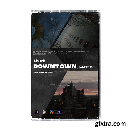 Blindusk - Downtown Luts