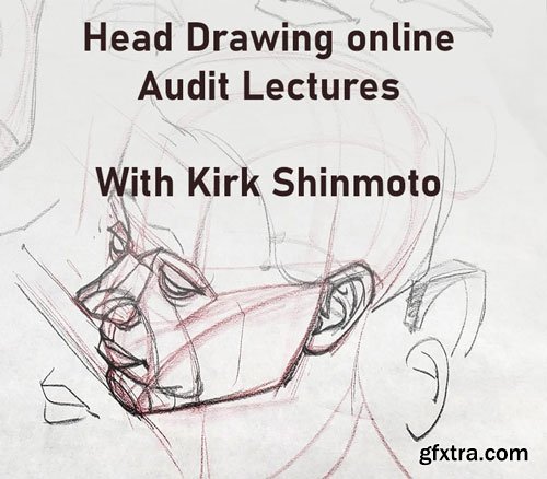 Gumroad - Kirk Shinmoto - Head Drawing Audit Class