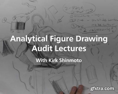 Kirk Shinmoto - Analytical Figure Audit Class Lectures