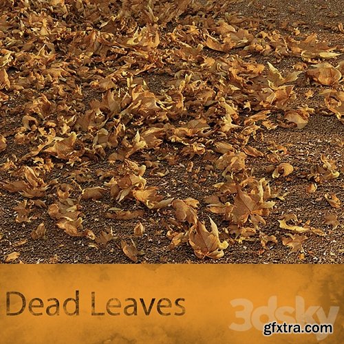 3dsky Pro - Dead Leaves