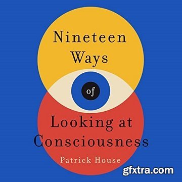 Nineteen Ways of Looking at Consciousness