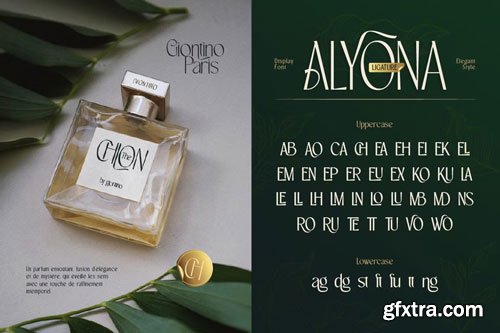 CreativeMarket - Alyona Font