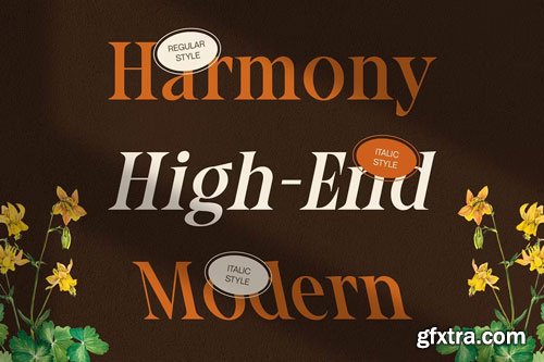 CreativeMarket - CS Ariela &ndash; Classic Font