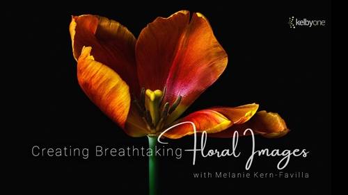 'KelbyOne - Creating Breathtaking Floral Images'