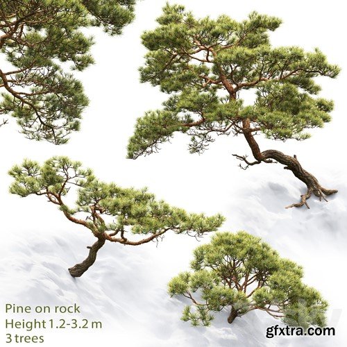 3dsky Pro - Pine