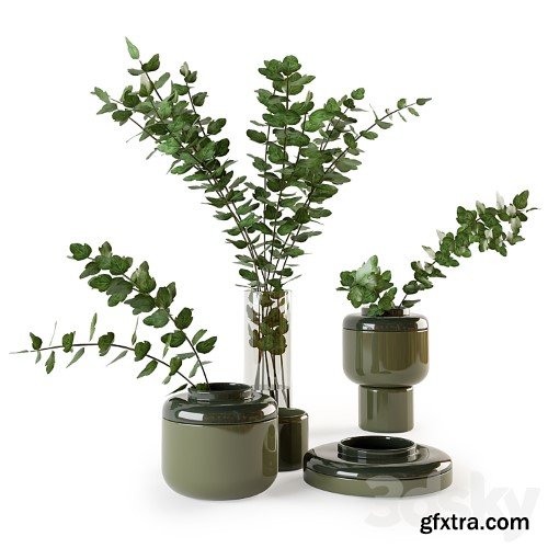 3dsky Pro - Decorative set with plants