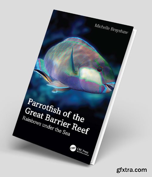 Parrotfish of the Great Barrier Reef Rainbows under the Sea