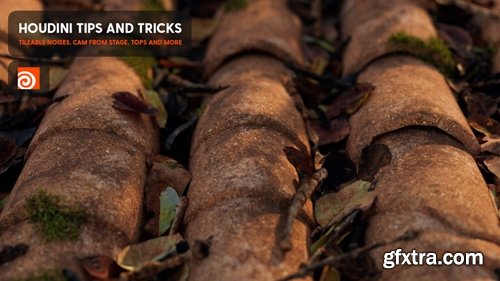 Cgside - Houdini Tips | Tileable Noises, Cam from Stage, TOPS and more