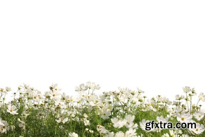 SPRING BRANCHES - Buds, Sprouts & Flowered 85xPNG SPRING BRANCHES - Buds, Sprouts & Flowered 85xPNG