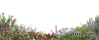 SPRING BRANCHES - Buds, Sprouts & Flowered 85xPNG SPRING BRANCHES - Buds, Sprouts & Flowered 85xPNG