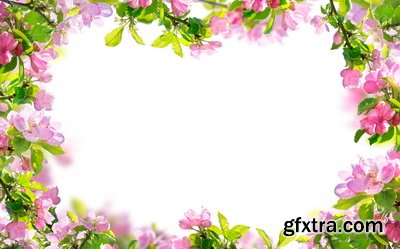 SPRING BRANCHES - Buds, Sprouts & Flowered 85xPNG SPRING BRANCHES - Buds, Sprouts & Flowered 85xPNG