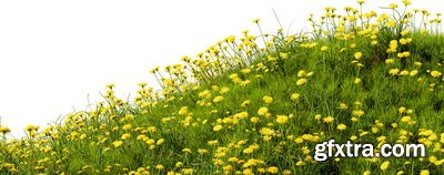 SPRING BRANCHES - Buds, Sprouts & Flowered 85xPNG SPRING BRANCHES - Buds, Sprouts & Flowered 85xPNG