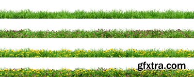 SPRING BRANCHES - Buds, Sprouts & Flowered 85xPNG SPRING BRANCHES - Buds, Sprouts & Flowered 85xPNG