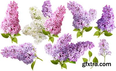 SPRING BRANCHES - Buds, Sprouts & Flowered 85xPNG SPRING BRANCHES - Buds, Sprouts & Flowered 85xPNG