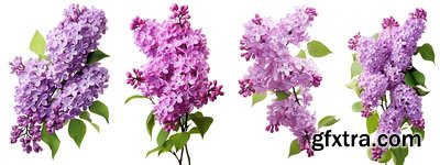 SPRING BRANCHES - Buds, Sprouts & Flowered 85xPNG SPRING BRANCHES - Buds, Sprouts & Flowered 85xPNG