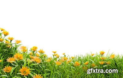 SPRING BRANCHES - Buds, Sprouts & Flowered 85xPNG SPRING BRANCHES - Buds, Sprouts & Flowered 85xPNG