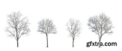 SPRING BRANCHES - Buds, Sprouts & Flowered 85xPNG SPRING BRANCHES - Buds, Sprouts & Flowered 85xPNG