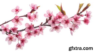 SPRING BRANCHES - Buds, Sprouts & Flowered 85xPNG SPRING BRANCHES - Buds, Sprouts & Flowered 85xPNG