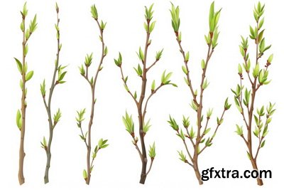SPRING BRANCHES - Buds, Sprouts & Flowered 85xPNG SPRING BRANCHES - Buds, Sprouts & Flowered 85xPNG