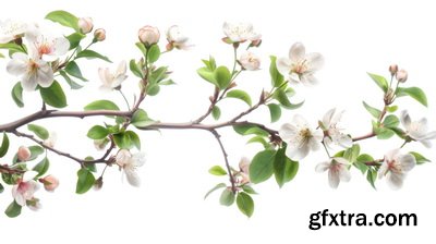 SPRING BRANCHES - Buds, Sprouts & Flowered 85xPNG SPRING BRANCHES - Buds, Sprouts & Flowered 85xPNG