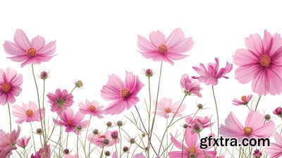 SPRING BRANCHES - Buds, Sprouts & Flowered 85xPNG SPRING BRANCHES - Buds, Sprouts & Flowered 85xPNG