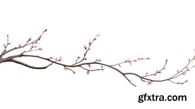 SPRING BRANCHES - Buds, Sprouts & Flowered 85xPNG SPRING BRANCHES - Buds, Sprouts & Flowered 85xPNG