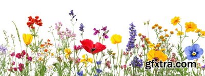 SPRING BRANCHES - Buds, Sprouts & Flowered 85xPNG SPRING BRANCHES - Buds, Sprouts & Flowered 85xPNG