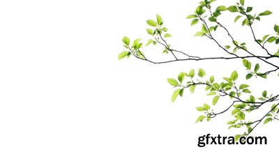 SPRING BRANCHES - Buds, Sprouts & Flowered 85xPNG SPRING BRANCHES - Buds, Sprouts & Flowered 85xPNG