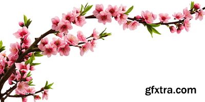 SPRING BRANCHES - Buds, Sprouts & Flowered 85xPNG SPRING BRANCHES - Buds, Sprouts & Flowered 85xPNG