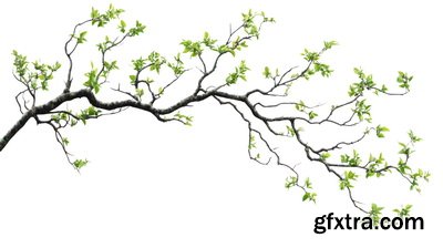 SPRING BRANCHES - Buds, Sprouts & Flowered 85xPNG SPRING BRANCHES - Buds, Sprouts & Flowered 85xPNG