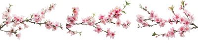 SPRING BRANCHES - Buds, Sprouts & Flowered 85xPNG SPRING BRANCHES - Buds, Sprouts & Flowered 85xPNG