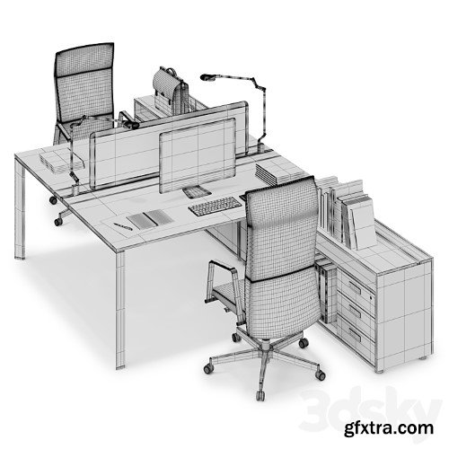 3dsky Pro - Office workspace LAS 5TH ELEMENT (v21)
