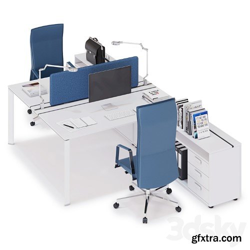 3dsky Pro - Office workspace LAS 5TH ELEMENT (v21)