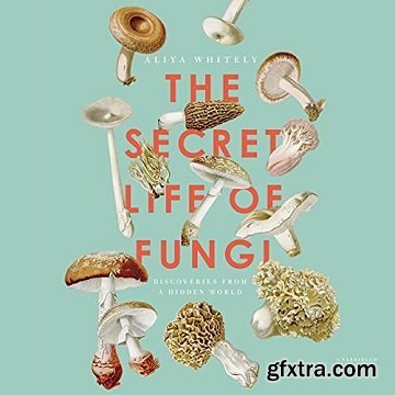 The Secret Life of Fungi: Discoveries from a Hidden World